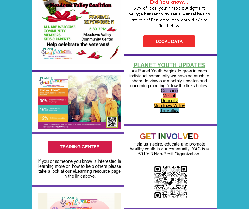 November 2024 Newsletter